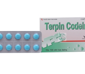 Terpin Codein